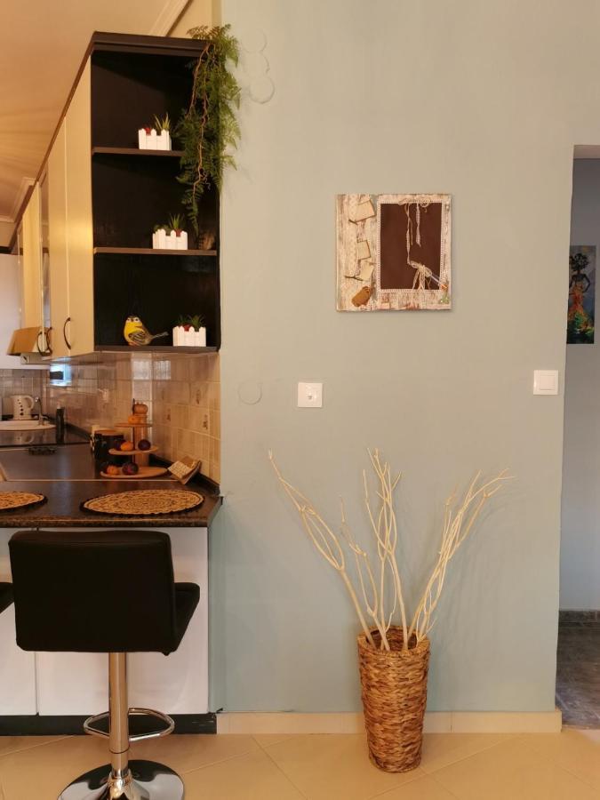 Theia Analipsi Central Apartment Катерини Экстерьер фото